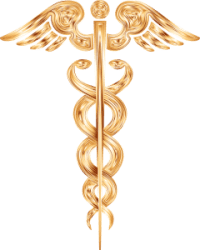 Der Stab des Hermes Trismegistos als Symbol für die Konstitutionsmedizin und die traditionelle europäische Naturheilkunde